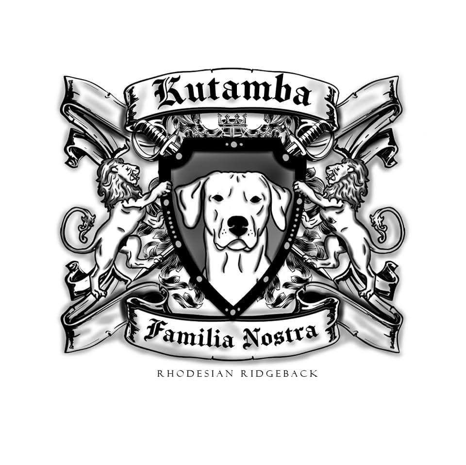 Adopter un petit Kutamba.